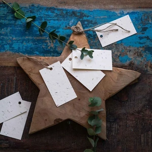 Seed Paper Gift Tags - Set of 10 by &Keep