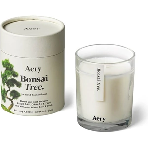 Aery Living Aery Botanical Bonsai Tree 200g Candle - Birch Sap, Orange & Yuzu with Petitgrain, Balsam, Grass & Woods