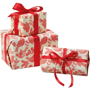 View product details for the Recycled Wrapping Paper & Tags - Folk Robin Print - Pack of 4