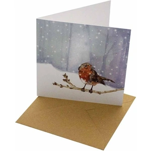 View product details for the Christmas Robin - Recycled Greetings Card