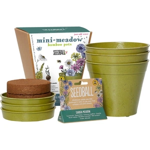 Garden Meadow Seedball & Pots Set