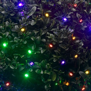 Smart Garden Solar Powered 50 Coloured LED String Lights